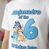 Combo 3 Playeras Y Pañalero Bluey Mamá Papá Hermana Y Bebe