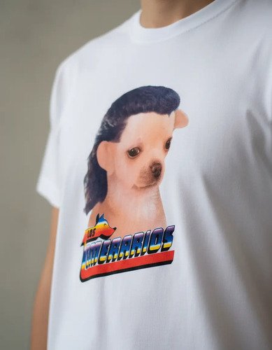 D_626511-MLM94301586863_102025-O.jpg Playera Los Temerarios Perro