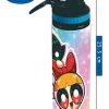 D_705644-MLM88946152236_082025-O.jpg Botella De Agua 750ml Aluminio Chicas Superpoderosas